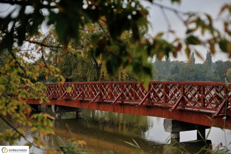 Egy esős őszi délután Sóstón - fotó Szarka Lajos