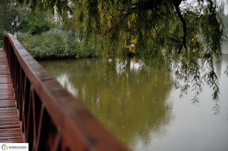 Egy esős őszi délután Sóstón - fotó Szarka Lajos