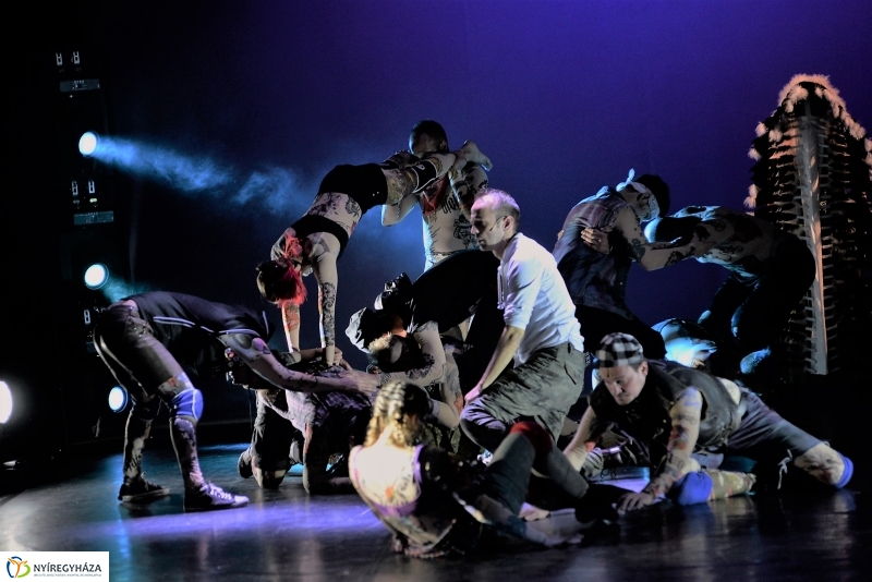 Képzelt riport egy amerikai popfesztiválról-sajtófotózás