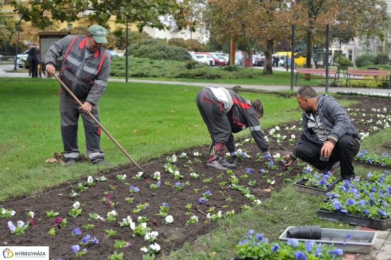 Park gondozás a Hősök terén - fotó Szarka Lajos