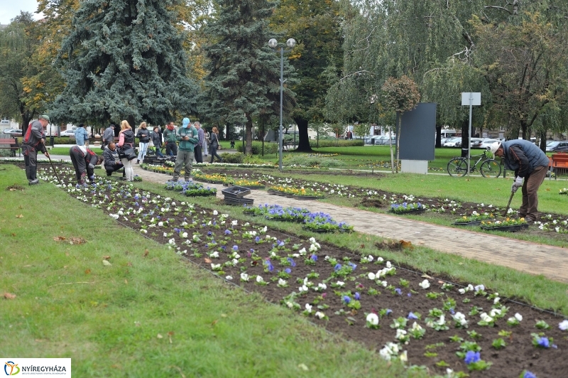 Park gondozás a Hősök terén - fotó Szarka Lajos