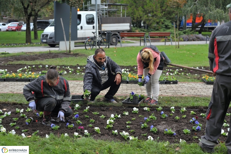 Park gondozás a Hősök terén - fotó Szarka Lajos