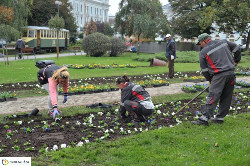 Park gondozás a Hősök terén - fotó Szarka Lajos