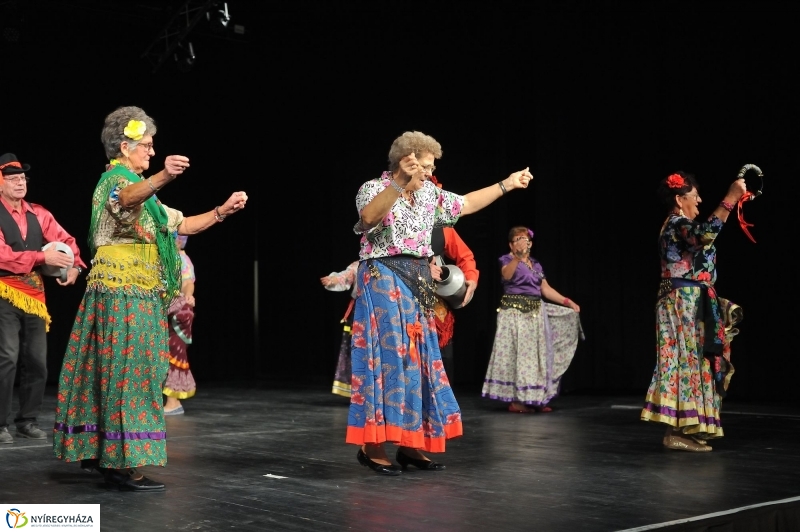 Nyugdíjas Ki Mit Tud 2016 - fotó Szarka Lajos