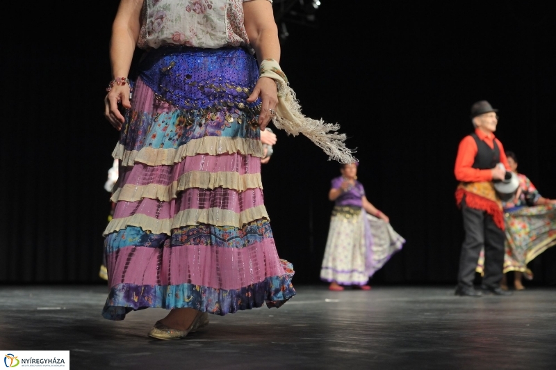 Nyugdíjas Ki Mit Tud 2016 - fotó Szarka Lajos