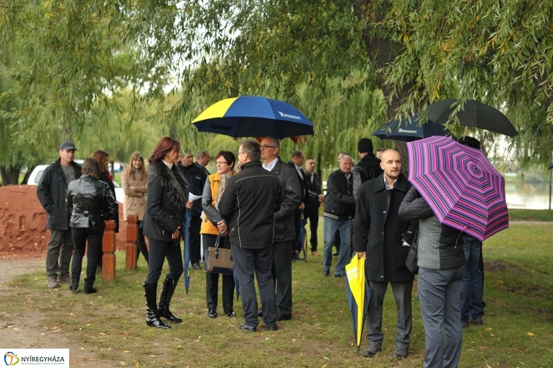 Fák a Michelintől - fotó Szarka Lajos