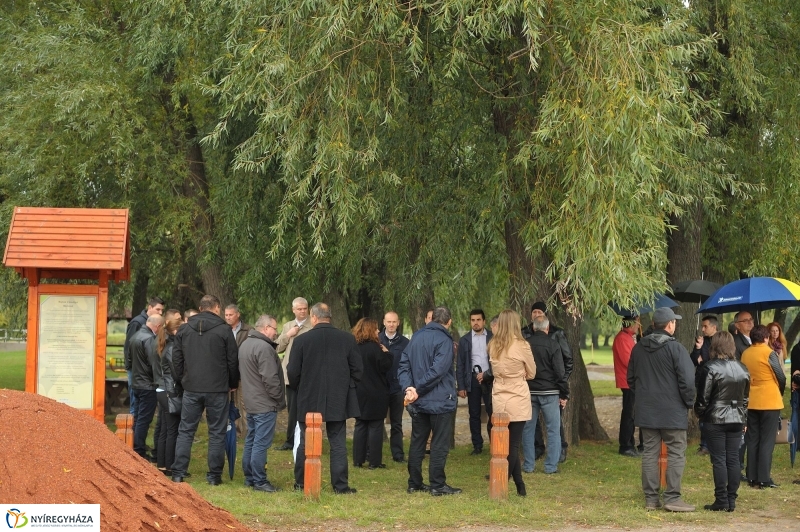 Fák a Michelintől - fotó Szarka Lajos