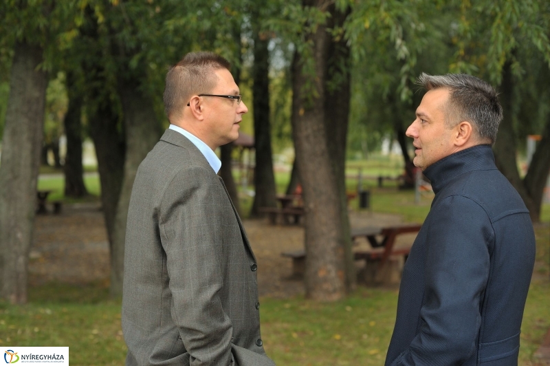 Fák a Michelintől - fotó Szarka Lajos