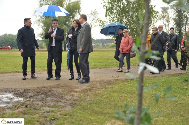 Fák a Michelintől - fotó Szarka Lajos