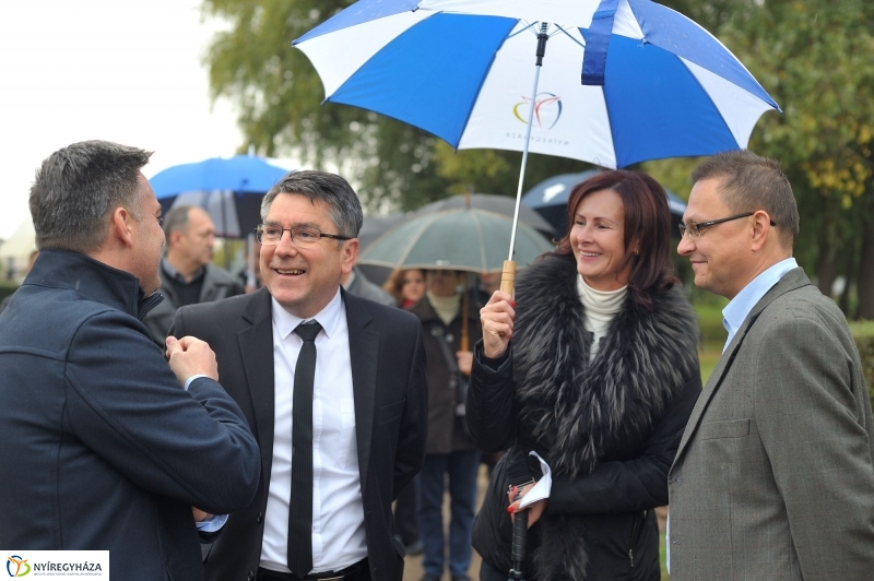 Fák a Michelintől - fotó Szarka Lajos