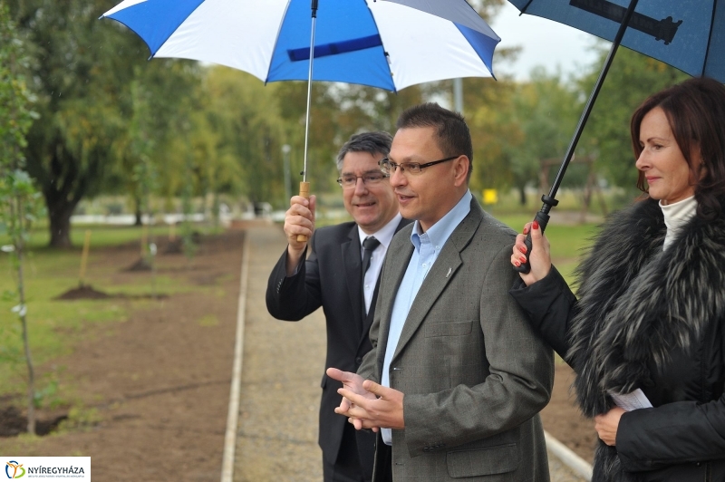 Fák a Michelintől - fotó Szarka Lajos