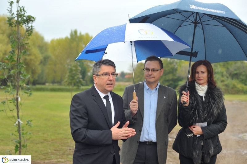 Fák a Michelintől - fotó Szarka Lajos