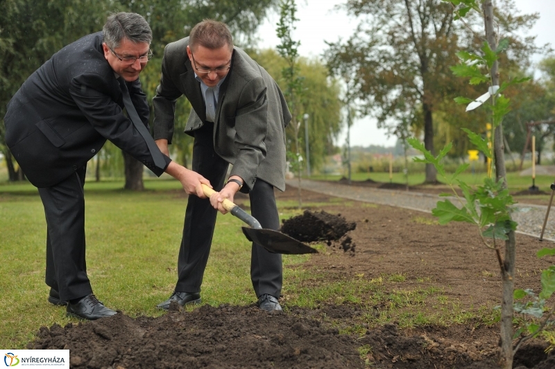 Fák a Michelintől - fotó Szarka Lajos