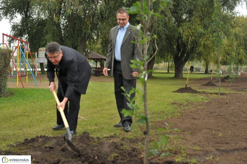 Fák a Michelintől - fotó Szarka Lajos