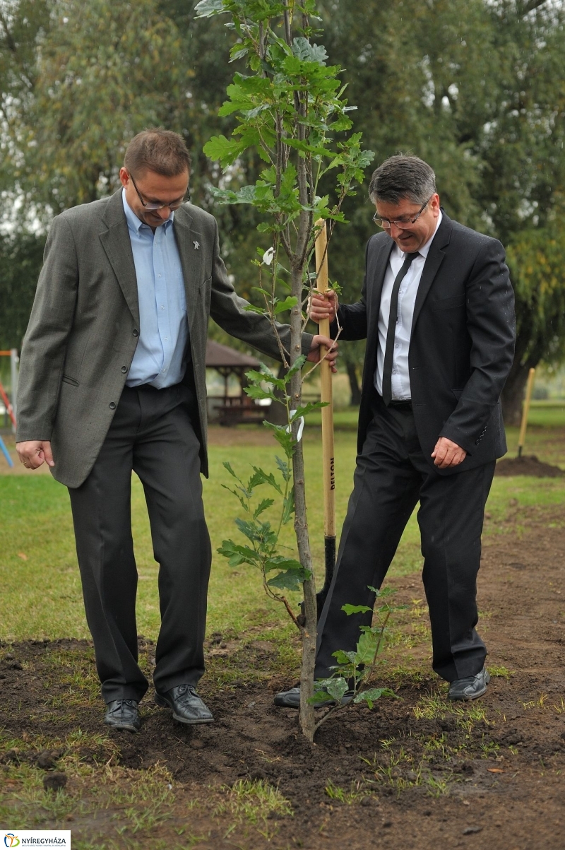 Fák a Michelintől - fotó Szarka Lajos