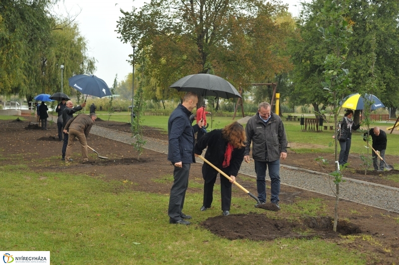 Fák a Michelintől - fotó Szarka Lajos