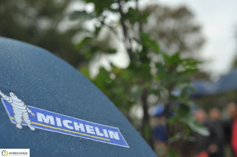 Fák a Michelintől - fotó Szarka Lajos