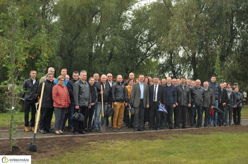 Fák a Michelintől - fotó Szarka Lajos