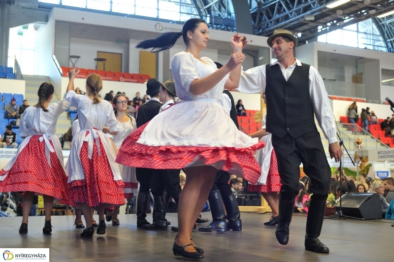 Pályaválasztási Kiállítás 2016 - fotó Szarka Lajos