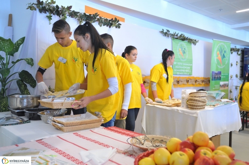 Pályaválasztási Kiállítás 2016 - fotó Szarka Lajos