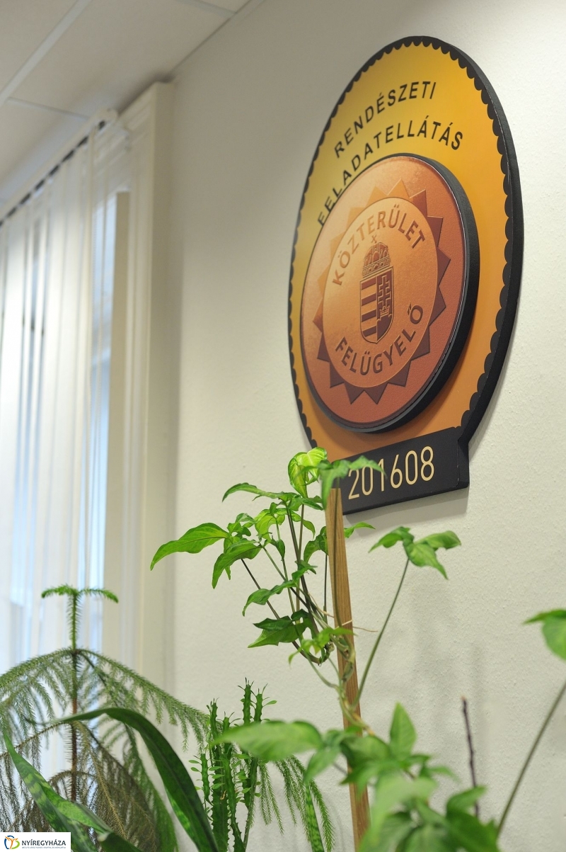 Közterület Felügyeleti iroda Nyíregyházán - fotó Szarka Lajos