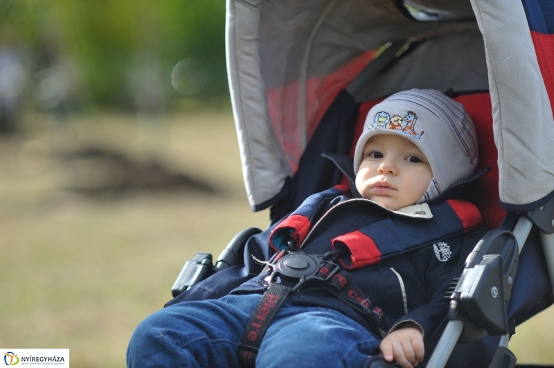 Faültetés az Újélet-fa Ligetben - fotó Szarka Lajos