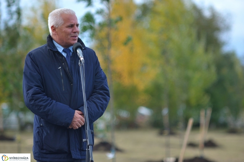 Faültetés az Újélet-fa Ligetben - fotó Szarka Lajos