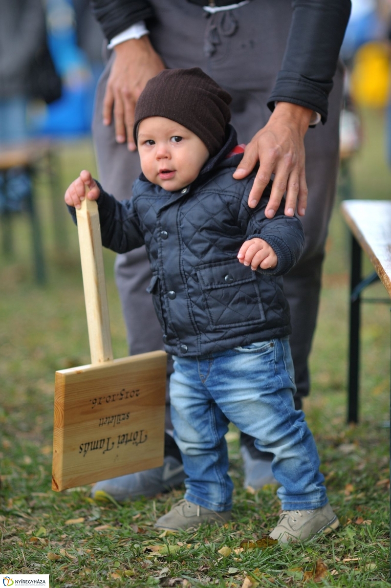 Faültetés az Újélet-fa Ligetben - fotó Szarka Lajos