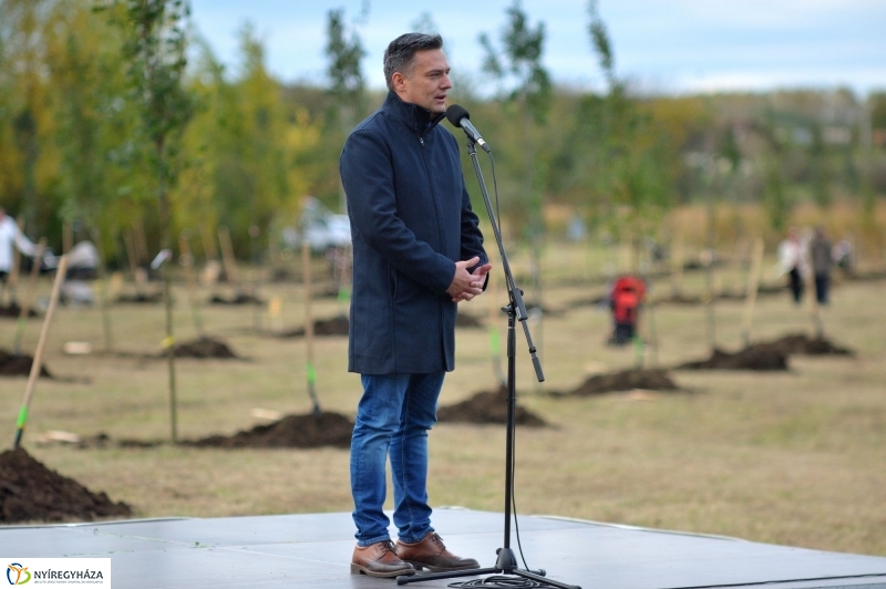 Faültetés az Újélet-fa Ligetben - fotó Szarka Lajos