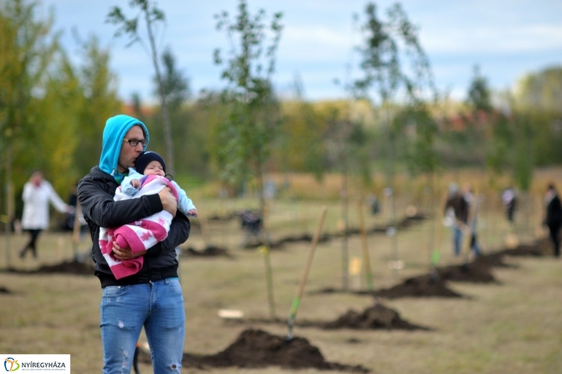 Faültetés az Újélet-fa Ligetben - fotó Szarka Lajos
