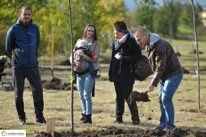 Faültetés az Újélet-fa Ligetben - fotó Szarka Lajos