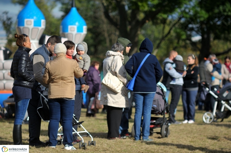 Faültetés az Újélet-fa Ligetben - fotó Szarka Lajos