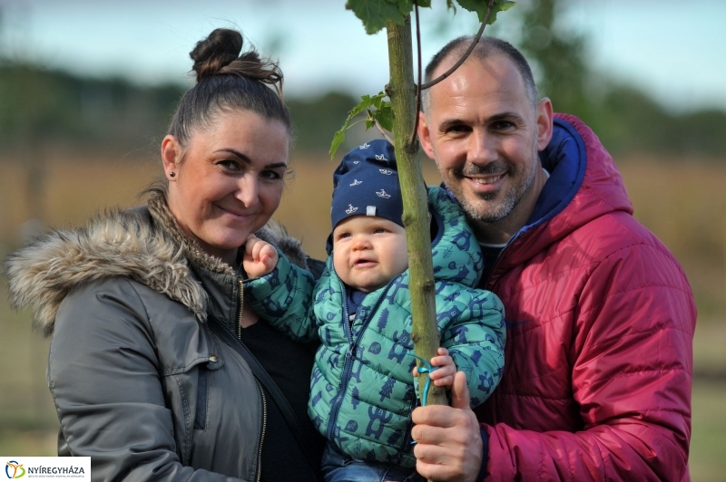 Faültetés az Újélet-fa Ligetben - fotó Szarka Lajos