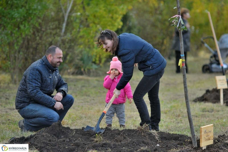 Faültetés az Újélet-fa Ligetben - fotó Szarka Lajos