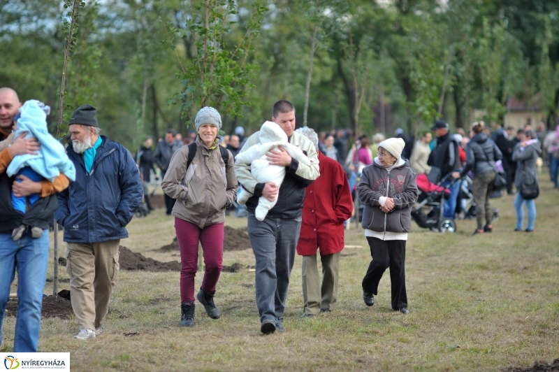 Faültetés az Újélet-fa Ligetben - fotó Szarka Lajos