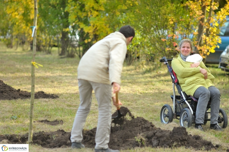 Faültetés az Újélet-fa Ligetben - fotó Szarka Lajos