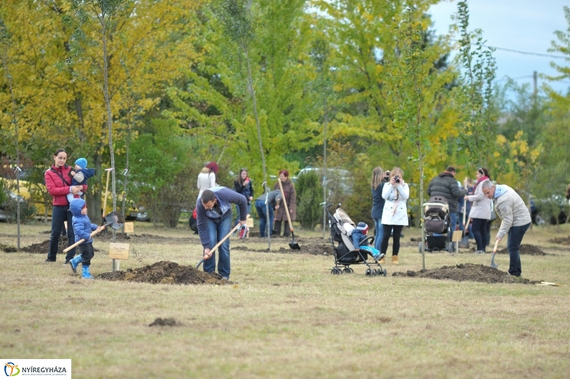 Faültetés az Újélet-fa Ligetben - fotó Szarka Lajos