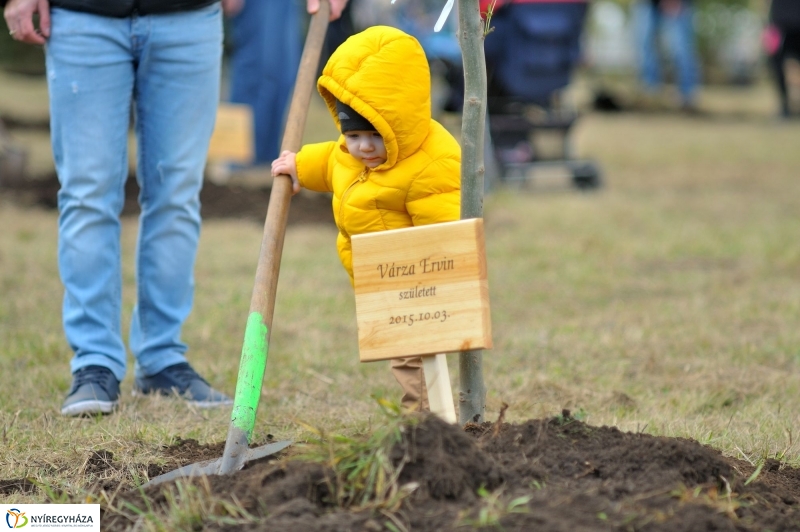Faültetés az Újélet-fa Ligetben - fotó Szarka Lajos