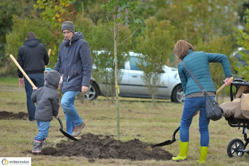 Faültetés az Újélet-fa Ligetben - fotó Szarka Lajos