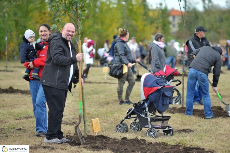 Faültetés az Újélet-fa Ligetben - fotó Szarka Lajos