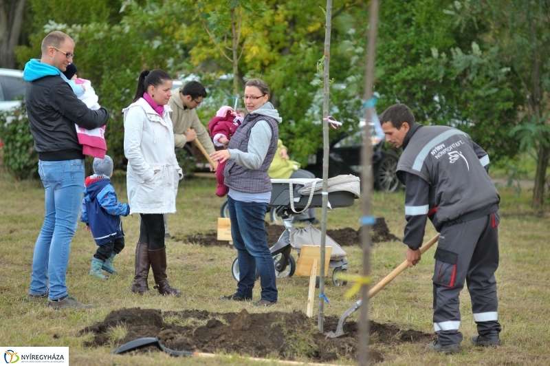 Faültetés az Újélet-fa Ligetben - fotó Szarka Lajos