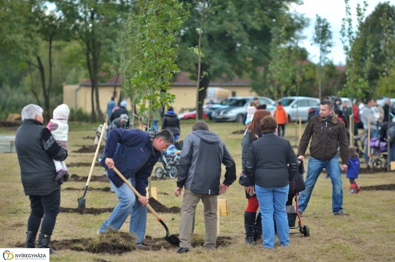 Faültetés az Újélet-fa Ligetben - fotó Szarka Lajos