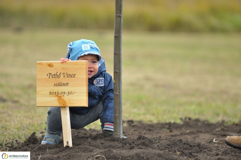 Faültetés az Újélet-fa Ligetben - fotó Szarka Lajos