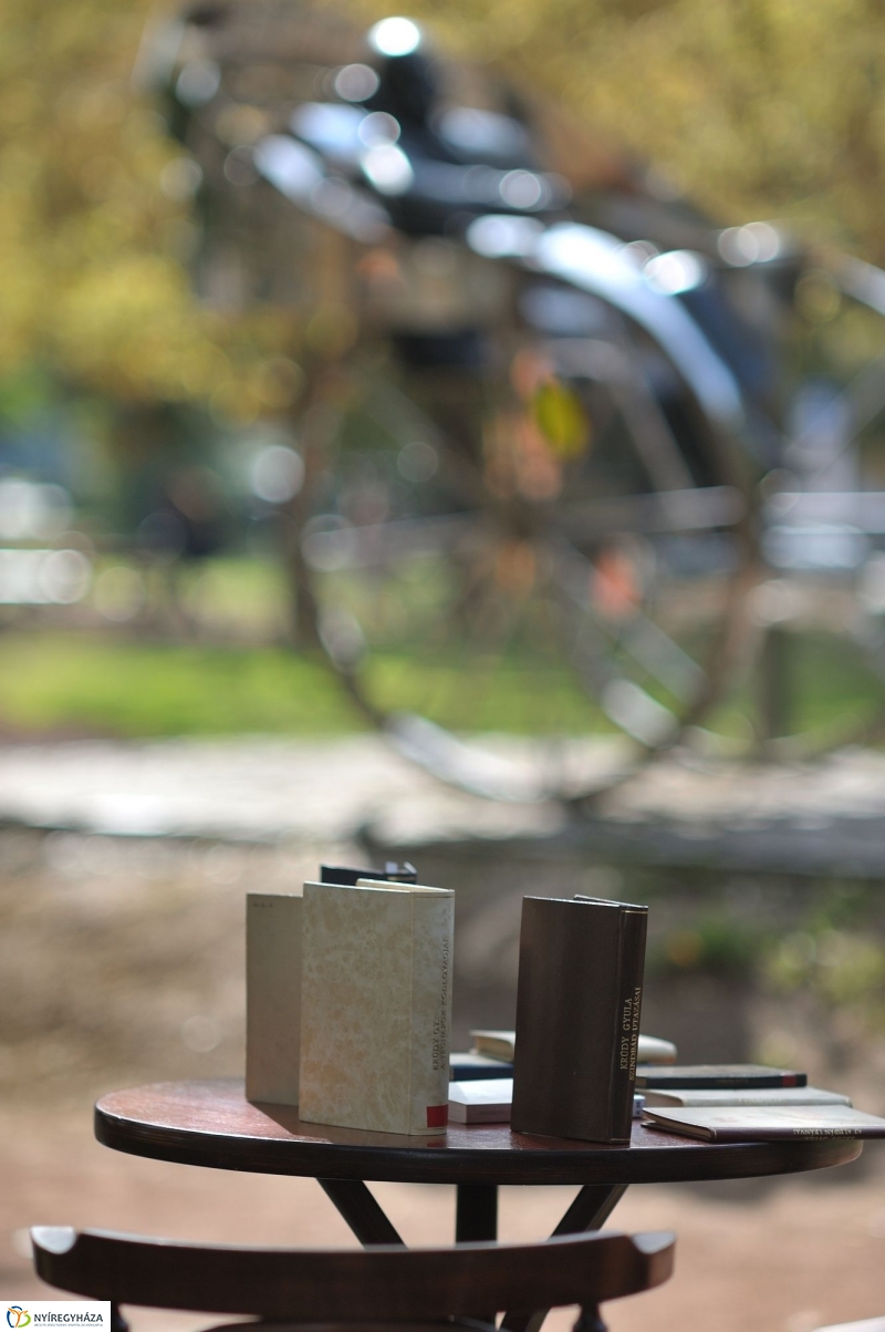 Emlékezés Krúdy Gyula szobránál - fotó Szarka Lajos