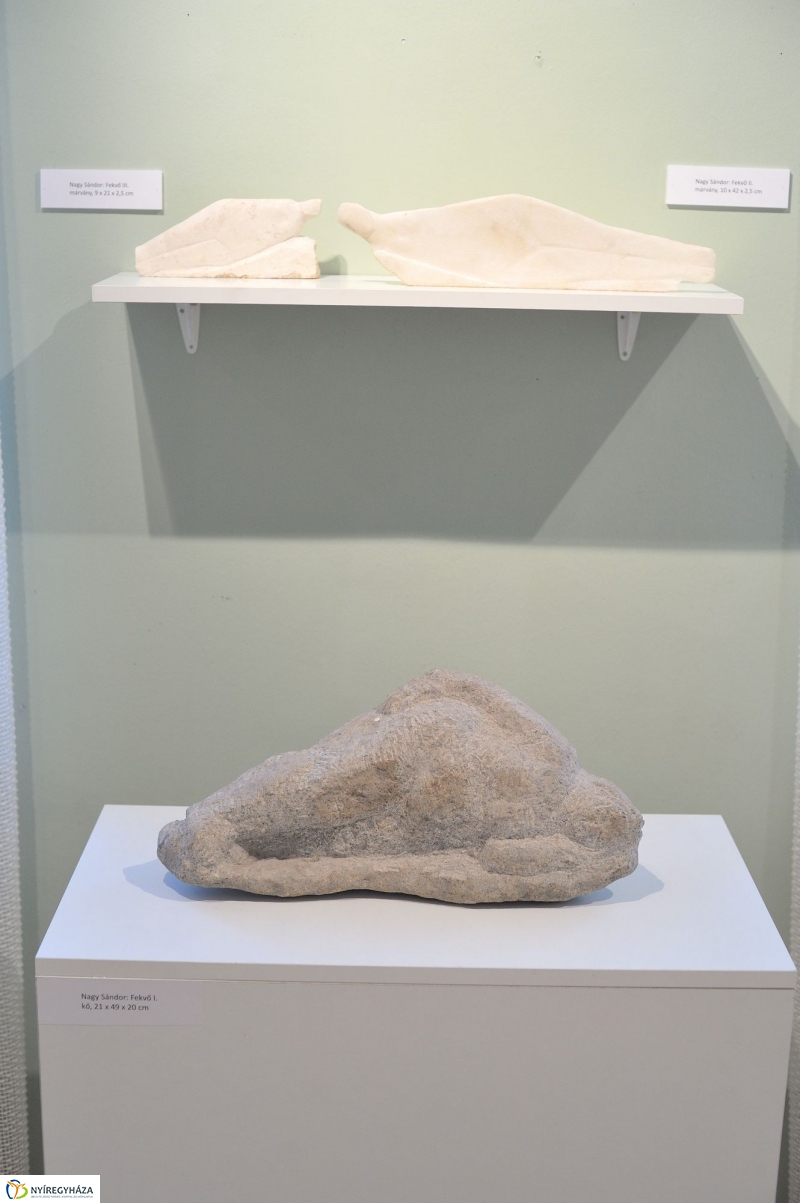 Kiállítás a múzeumban - fotó Szarka Lajos