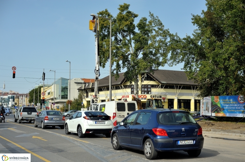Elkezdődött a beruházás a Szegfű utcán XI - fotó Szarka Lajos