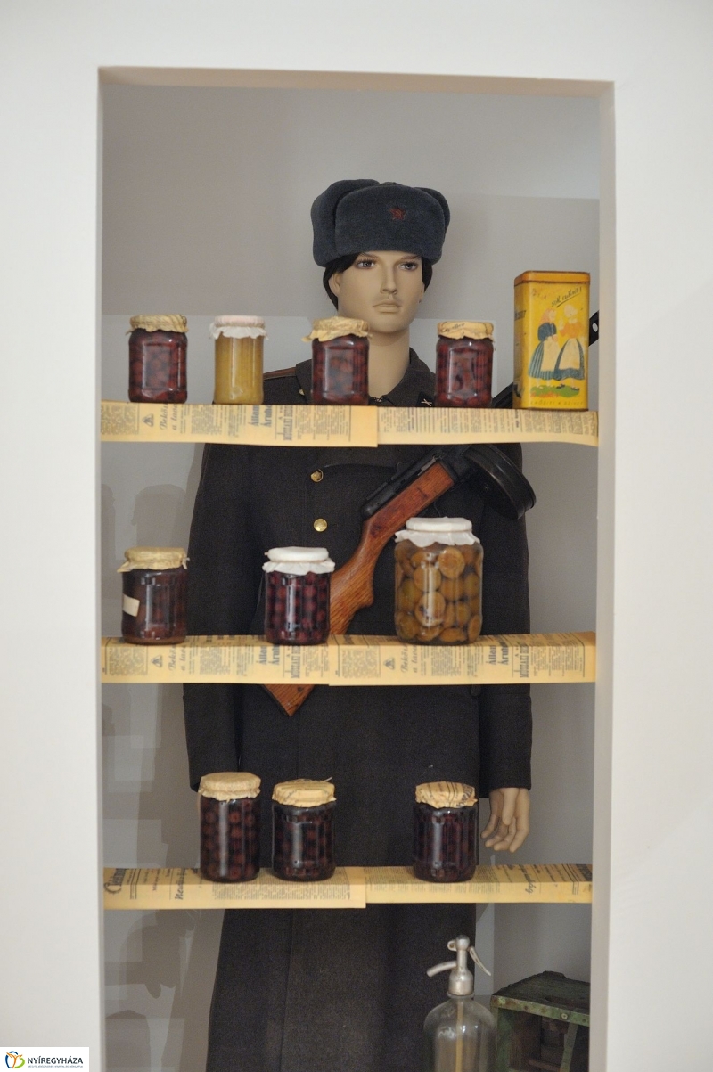 Kiállítás 1956-ról a múzeumban - fotó Szarka Lajos