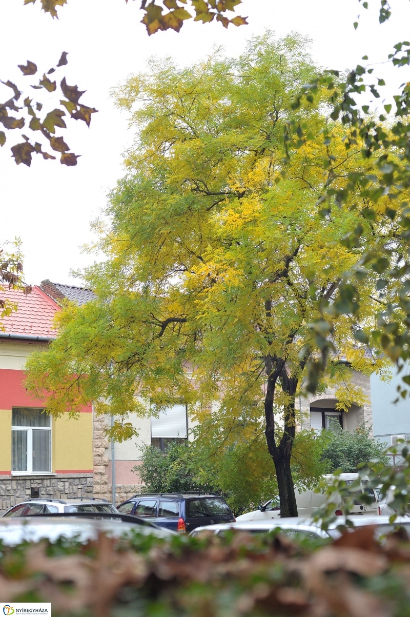 Itt van az ősz, itt van újra - fotó Szarka Lajos