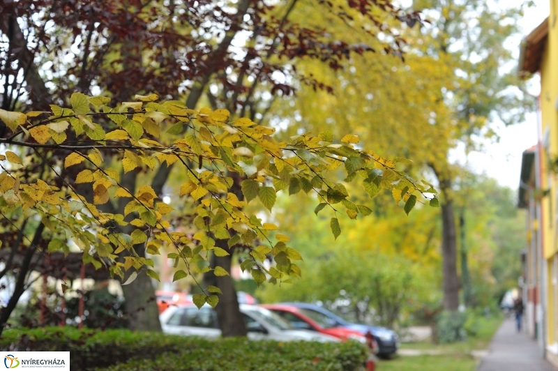 Itt van az ősz, itt van újra - fotó Szarka Lajos
