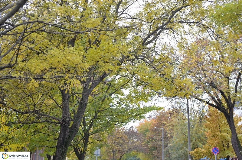 Itt van az ősz, itt van újra - fotó Szarka Lajos